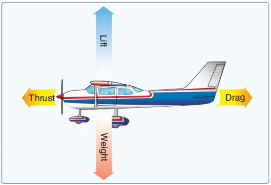 the principle forces of flight